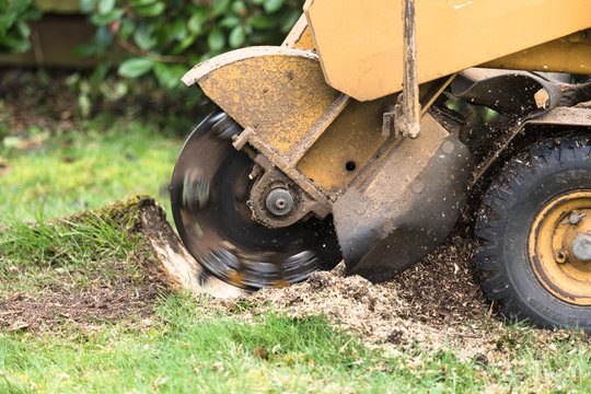 stump-removal